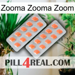 Zooma Zooma Zoom 27